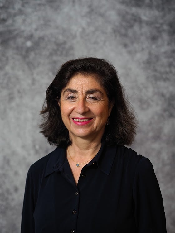 Nur M. Onvural